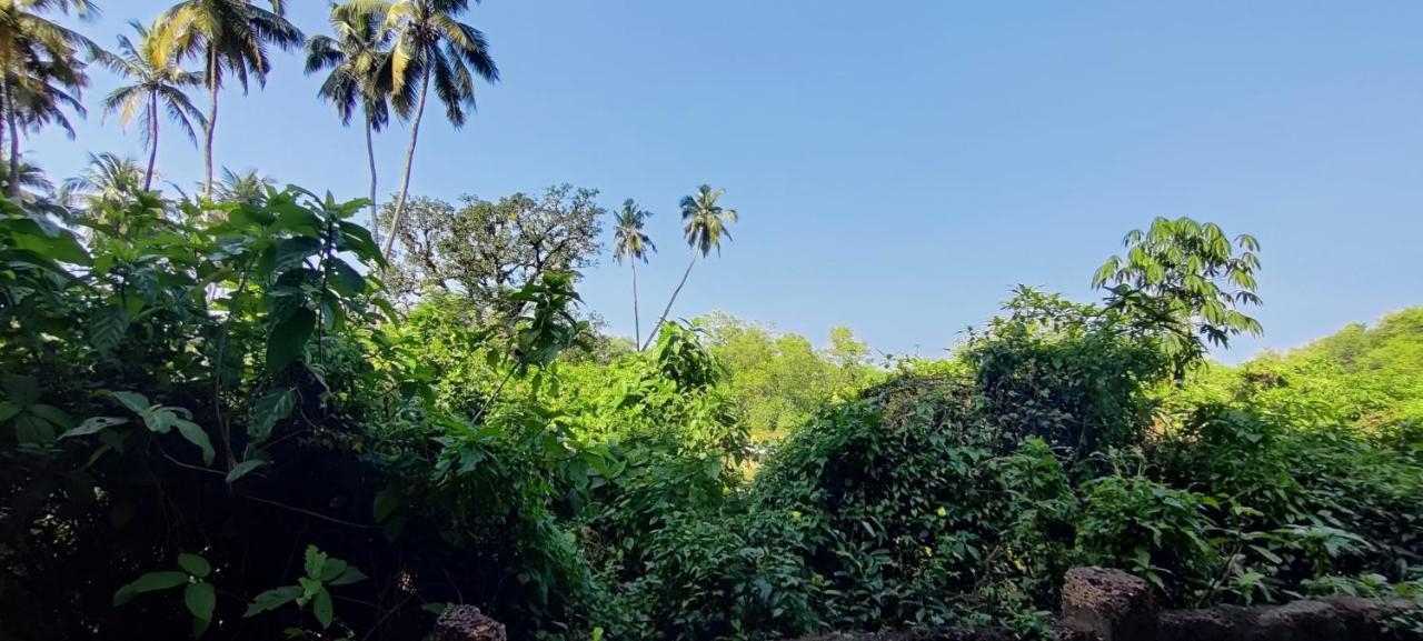 J-House, Spacious Apartments With Balconies, Thalassa 1Min Away Siolim Exterior foto